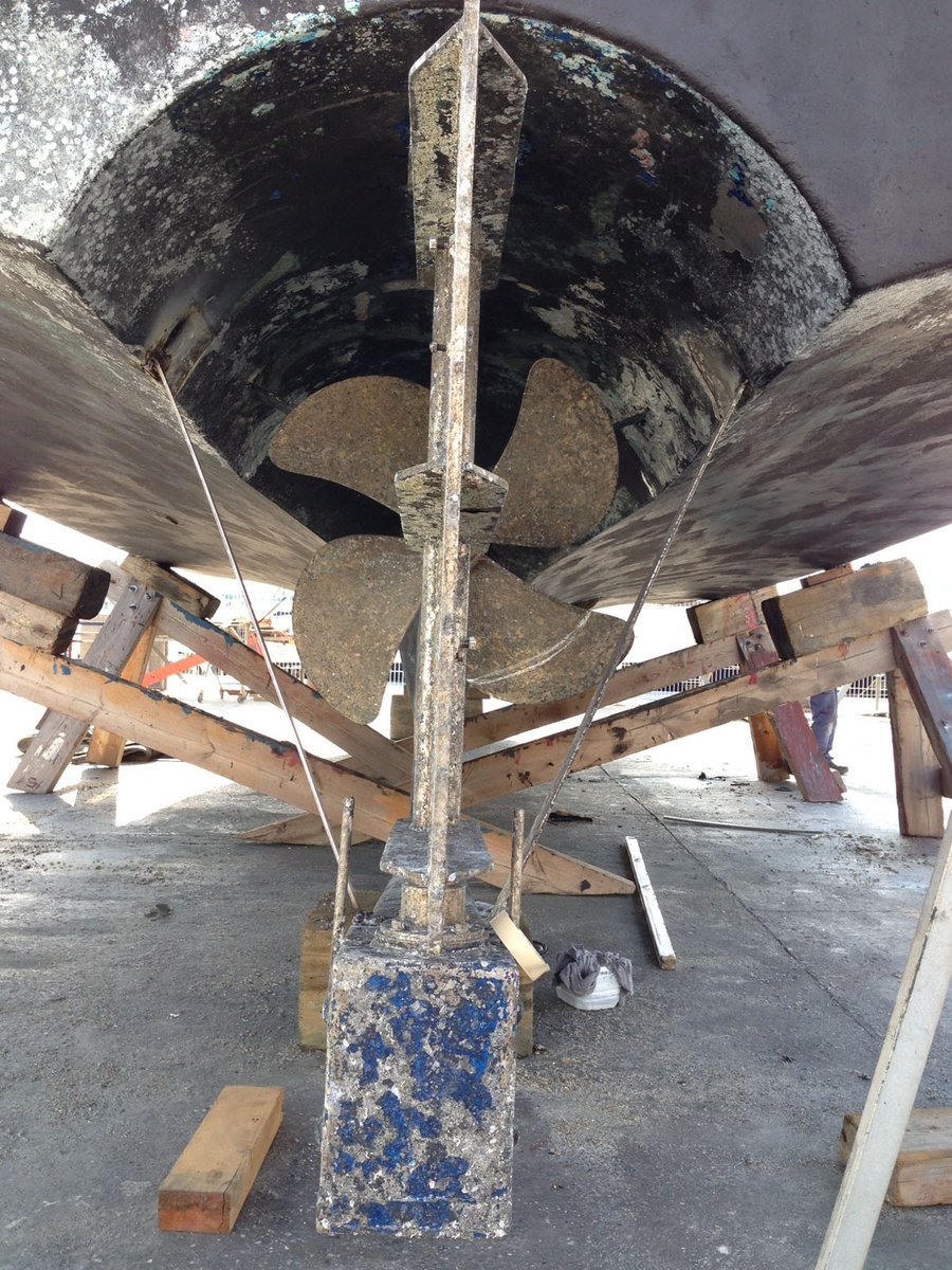 Imagen de Capitol 11 - 2016